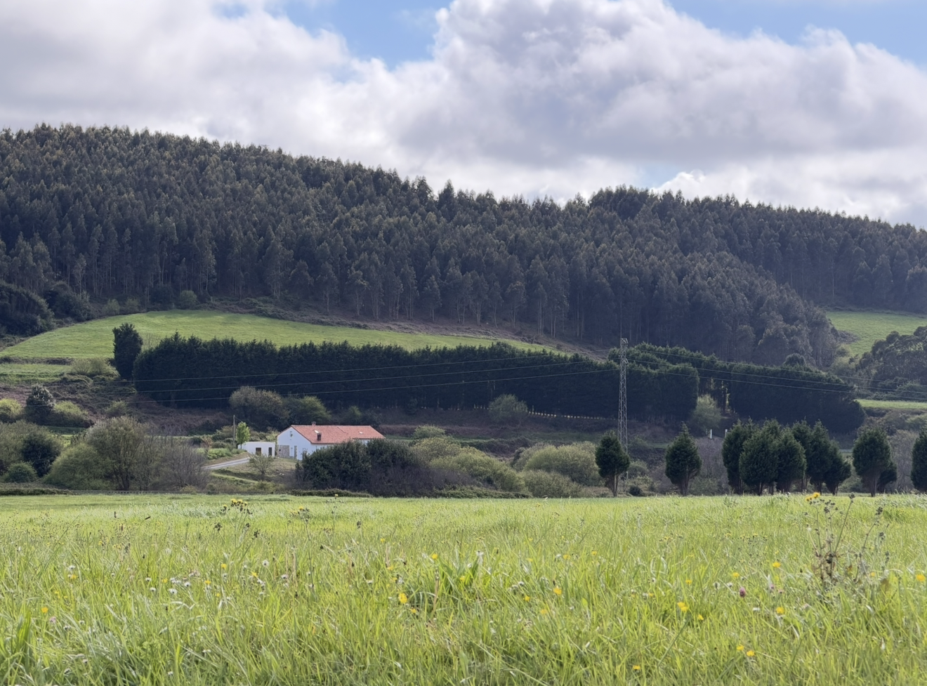 Villa Verdicio en el paisaje asturiano